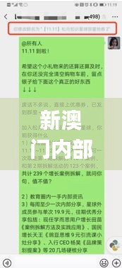 新澳门内部资料精准大全,清晰解答解释执行_直播版14.239