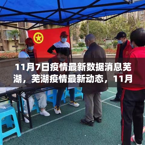 芜湖疫情最新动态，11月7日数据消息分析与疫情最新数据消息汇总