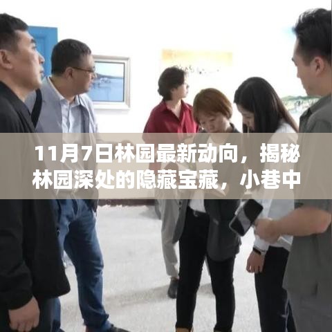 揭秘林园最新动态，隐藏宝藏与小巷特色小店新动向