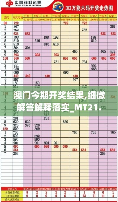 澳门今期开奖结果,细微解答解释落实_MT21.939