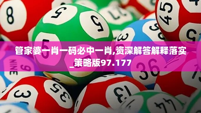 管家婆一肖一码必中一肖,资深解答解释落实_策略版97.177