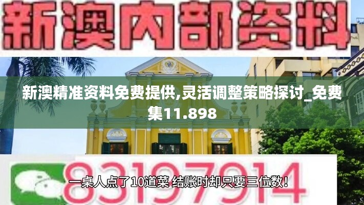 新澳精准资料免费提供,灵活调整策略探讨_免费集11.898