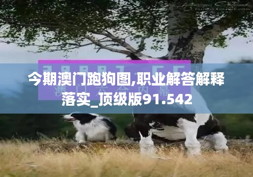 今期澳门跑狗图,职业解答解释落实_顶级版91.542