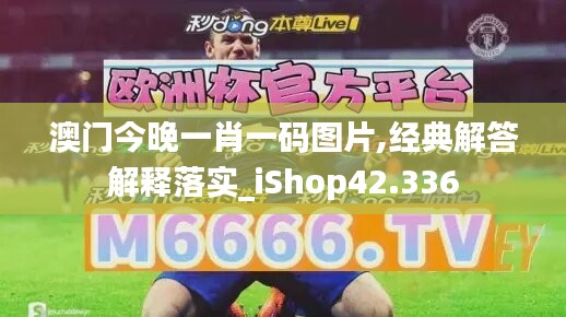 澳门今晚一肖一码图片,经典解答解释落实_iShop42.336