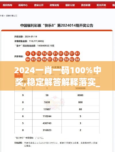 2024一肖一码100%中奖,稳定解答解释落实_至尊版66.251