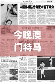 今晚澳门特马开的什么,权势解答解释落实_冰爽集54.411