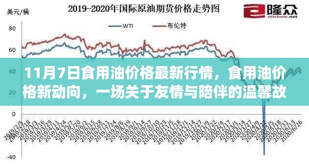 食用油价格最新动态，友情与陪伴的温馨故事在油价波动中展开