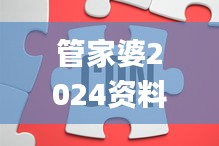 管家婆2024资料精准大全,现状解答解释落实_Superior94.205