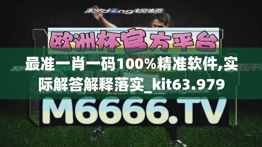 最准一肖一码100%精准软件,实际解答解释落实_kit63.979