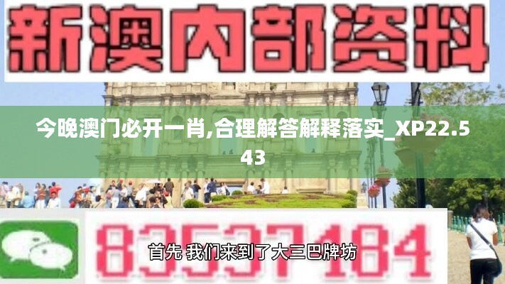 今晚澳门必开一肖,合理解答解释落实_XP22.543