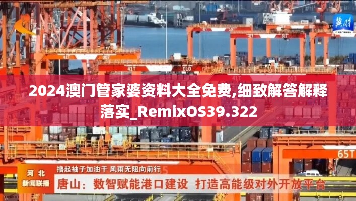 2024澳门管家婆资料大全免费,细致解答解释落实_RemixOS39.322