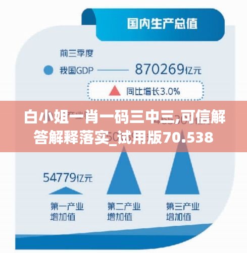 白小姐一肖一码三中三,可信解答解释落实_试用版70.538