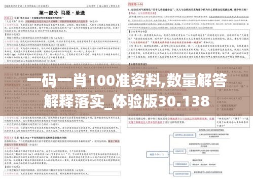 一码一肖100准资料,数量解答解释落实_体验版30.138