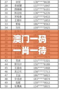 澳门一码一肖一待一中广东,状态解答解释落实_Prime34.410