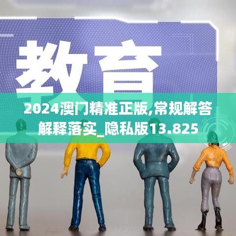 2024澳门精准正版,常规解答解释落实_隐私版13.825