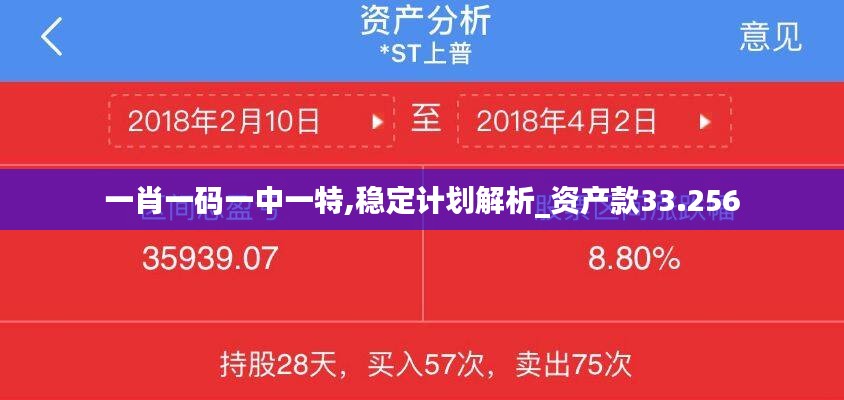 一肖一码一中一特,稳定计划解析_资产款33.256