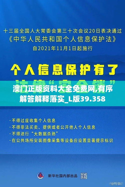 澳门正版资料大全免费网,有序解答解释落实_L版39.358