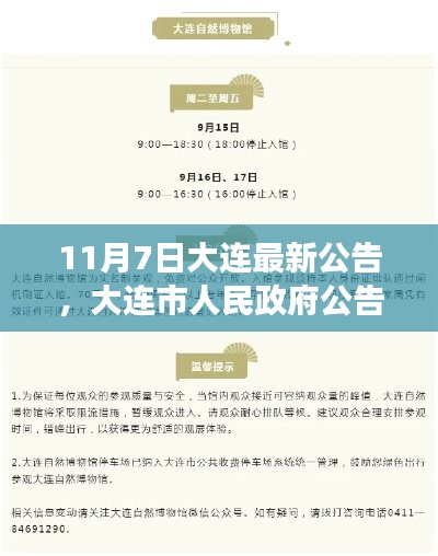 大连市政府公告解读，最新政策动态及要点解析（十一月七日公告版）