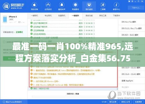 最准一码一肖100%精准965,远程方案落实分析_白金集56.756