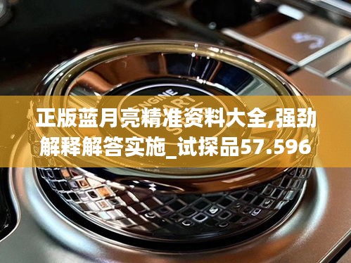 正版蓝月亮精准资料大全,强劲解释解答实施_试探品57.596