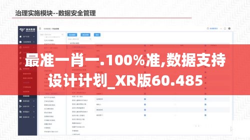 最准一肖一.100%准,数据支持设计计划_XR版60.485