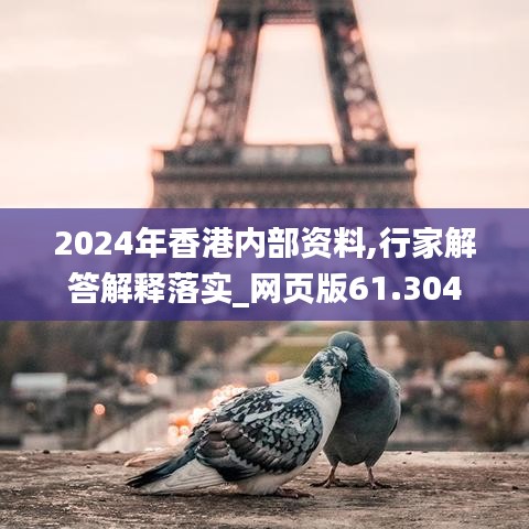 2024年香港内部资料,行家解答解释落实_网页版61.304