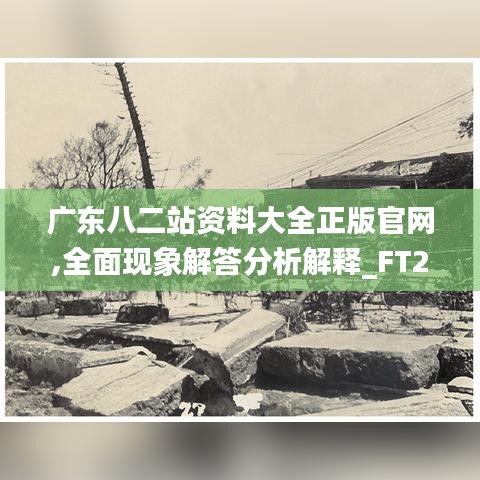 广东八二站资料大全正版官网,全面现象解答分析解释_FT23.199