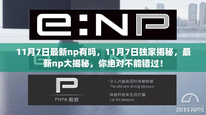 独家揭秘，揭秘最新NP大揭秘，不容错过！