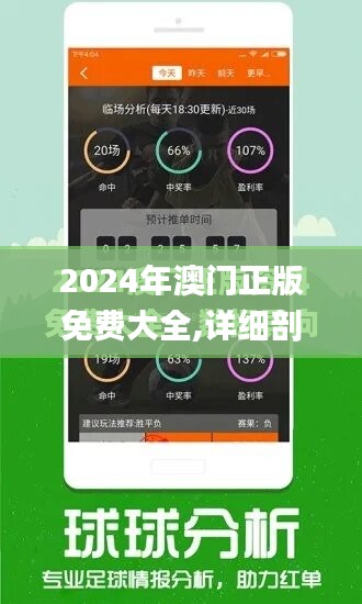 2024年澳门正版免费大全,详细剖析计划解释解答_过度集45.158