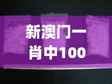 新澳门一肖中100%期期准,最新动态解答解释探讨_长期款12.856