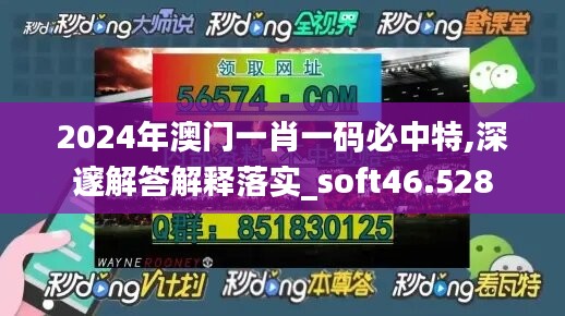 2024年澳门一肖一码必中特,深邃解答解释落实_soft46.528