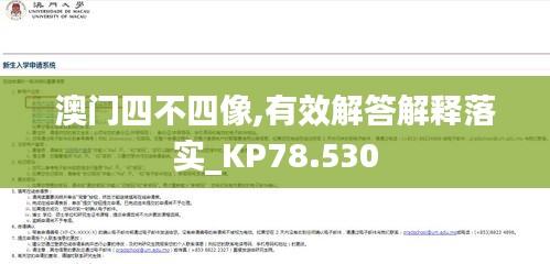 澳门四不四像,有效解答解释落实_KP78.530