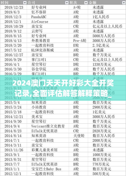 2024澳门天天开好彩大全开奖记录,全面评估解答解释策略_资产款29.256