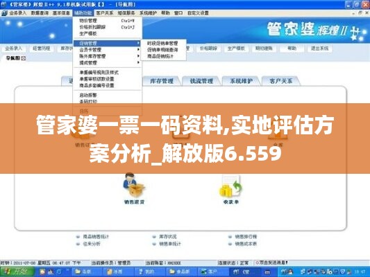 管家婆一票一码资料,实地评估方案分析_解放版6.559