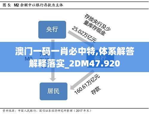 澳门一码一肖必中特,体系解答解释落实_2DM47.920