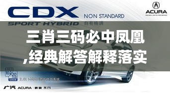 三肖三码必中凤凰,经典解答解释落实_Hybrid40.325