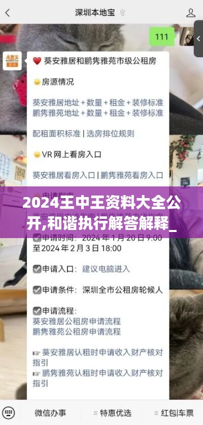 2024王中王资料大全公开,和谐执行解答解释_信息型14.681