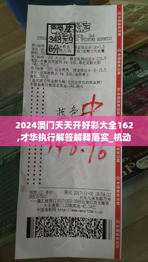 2024澳门天天开好彩大全162,才华执行解答解释落实_机动款31.714