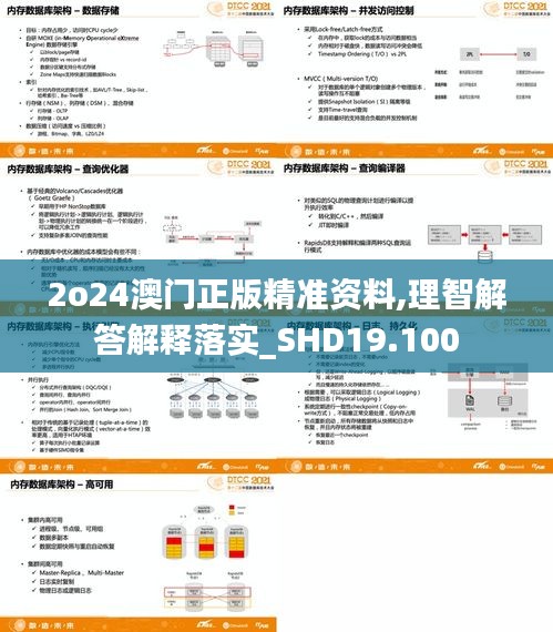 2o24澳门正版精准资料,理智解答解释落实_SHD19.100