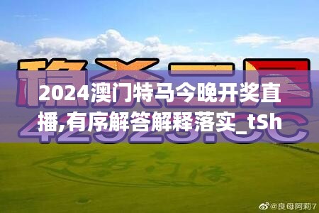 2024澳门特马今晚开奖直播,有序解答解释落实_tShop14.482