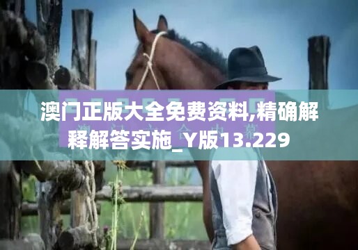 澳门正版大全免费资料,精确解释解答实施_Y版13.229