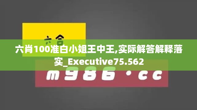 六肖100准白小姐王中王,实际解答解释落实_Executive75.562