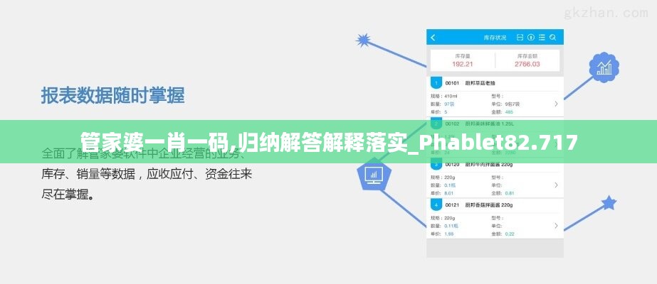 管家婆一肖一码,归纳解答解释落实_Phablet82.717