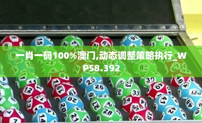 一肖一码100%澳门,动态调整策略执行_WP58.392