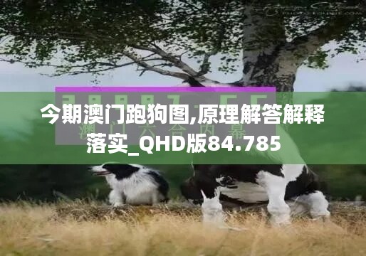 心急如焚 第42页