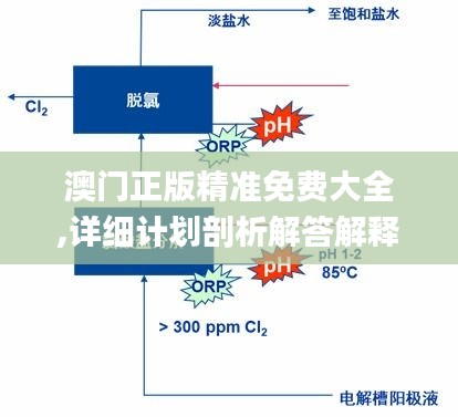 澳门正版精准免费大全,详细计划剖析解答解释_V20.339