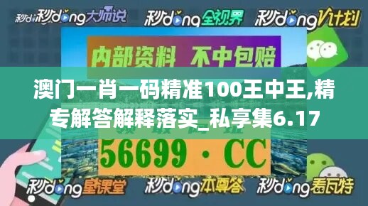 澳门一肖一码精准100王中王,精专解答解释落实_私享集6.17