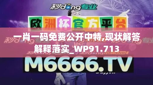 一肖一码免费公开中特,现状解答解释落实_WP91.713