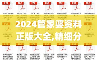 2024管家婆资料正版大全,精细分析解答解释路径_前进版69.448