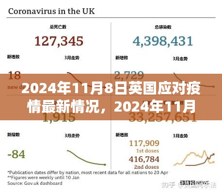 英国应对疫情最新情况详解指南（2024年11月8日更新）